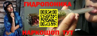 сатива Обь