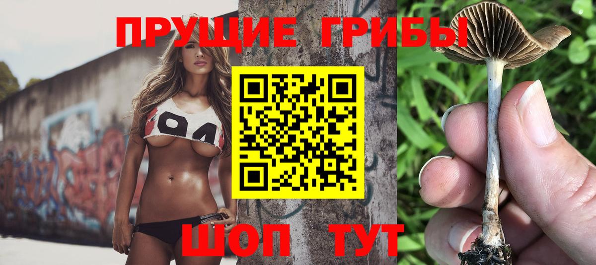 Псилоцибиновые грибы Magic Shrooms Чита