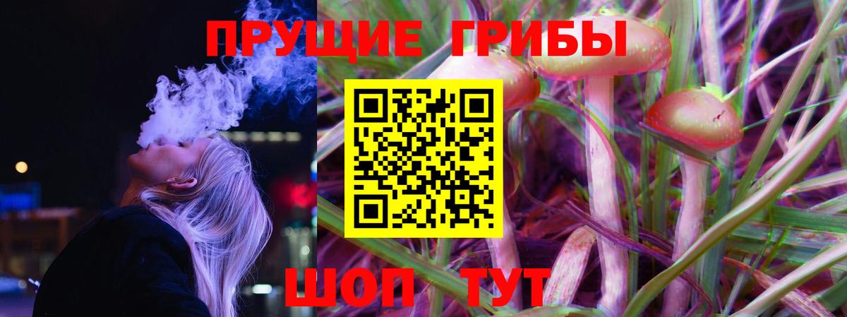 Чита  Псилоцибиновые грибы Magic Shrooms  хочу   Галлюциногенные грибы GOLDEN TEACHER  Вход с VPN 